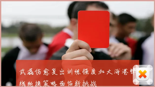 武磊伤愈复出训练强度加大海港锋线轮换策略面临新挑战